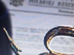 cropped-tlo.jpg