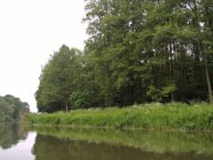 WP_20160526_15_53_23_Pro